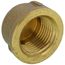 1/2" Threaded Brass Cap (Lead Free)