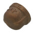 1/4" Threaded Brass Cap (Lead Free)