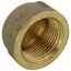 1" Threaded Brass Cap (Lead Free)