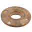 2" FNPT Brass Companion Flange, 150 psi (Lead-Free)