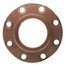 4" FNPT Brass Companion Flange, 150 psi (Lead-Free)