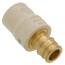 1/2" Expansion PEX x CPVC Socket Brass Adapter