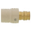 1/2" Expansion PEX x CPVC Socket Brass Adapter