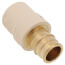 3/4" Expansion PEX x CPVC Socket Brass Adapter
