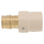 3/4" Expansion PEX x CPVC Socket Brass Adapter
