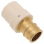 1" Expansion PEX x CPVC Socket Brass Adapter