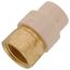 1/2" CPVC x Female Brass Adapter (Lead Free)