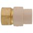 1/2" CPVC x Female Brass Adapter (Lead Free)