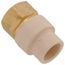 1/2" CPVC x Female Brass Adapter (Lead Free)