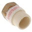 3/4" CPVC x Female Brass Adapter (Lead Free)