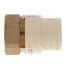 3/4" CPVC x Female Brass Adapter (Lead Free)