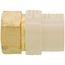 3/4" CPVC x Female Brass Adapter (Lead Free)