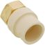 3/4" CPVC x Female Brass Adapter (Lead Free)