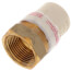 1" CPVC x Female Brass Adapter (Lead Free)