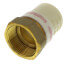 1-1/2" CPVC x Female Brass Adapter (Lead Free)