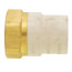 1-1/4" CPVC x Female Brass Adapter (Lead Free)
