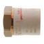 2" CPVC x Female Brass Adapter (Lead Free)