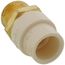 1/2" CPVC x Male Brass Adapter (Lead Free)