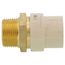 3/4" CPVC x Male Brass Adapter (Lead Free)
