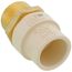 3/4" CPVC x Male Brass Adapter (Lead Free)