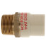 1" CPVC x Male Brass Adapter (Lead Free)