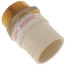 1-1/2" CPVC x Male Brass Adapter (Lead Free)