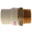 1-1/4" CPVC x Male Brass Adapter (Lead Free)