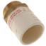 2" CPVC x Male Brass Adapter (Lead Free)