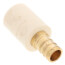 1/2" PEX Crimp x CPVC Socket Brass Adapter