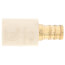 1/2" PEX Crimp x CPVC Socket Brass Adapter