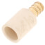 1/2" PEX Crimp x CPVC Socket Brass Adapter