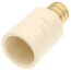 3/4" PEX Crimp x CPVC Socket Brass Adapter