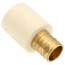 1" PEX Crimp x CPVC Socket Brass Adapter