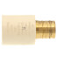 1" PEX Crimp x CPVC Socket Brass Adapter