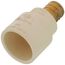 3/4" PEX Crimp x 1" CPVC Socket Brass Adapter