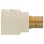 3/4" PEX Crimp x 1" CPVC Socket Brass Adapter