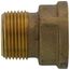3/4" Brass Extension Piece (Lead Free)
