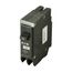 1-Pole BR GFCI Circuit Breaker, Plug-In, 10 kAIC, 5 mA, Pigtail, UL Only (20A, 120/240V)