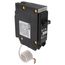 1-Pole BR GFCI Circuit Breaker, Plug-In, 10 kAIC, 5 mA, Pigtail, UL Only (20A, 120/240V)