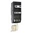 2-Pole BR GFCI Circuit Breaker, Common Trip, 10 kAIC, Pigtail Neutral (60A, 120/240V)