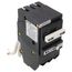 2-Pole BR GFCI Circuit Breaker, Common Trip, 10 kAIC, Pigtail Neutral (60A, 120/240V)