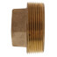 2" Brass Plug, Cored (Lead Free)