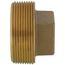 2" Brass Plug, Cored (Lead Free)