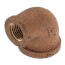 1/2" x 1/4" FIP Brass 90-Degree Reducing Elbow (Lead Free)