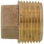 1" Brass Sq Head Plug (Lead Free)