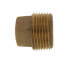 3/4" Brass Sq Head Plug (Lead Free)