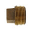1" Brass Sq Head Plug (Lead Free)