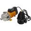 BT Series Mains Boosting Pump w/ Torrium2, 45 PSI (14 GPM)