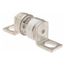 Bussmann 32 Amp Fast-Acting Class aR Fuse (280V)