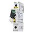 Bussmann 2 Pole 60A Fused Disconnect Switch (600V)